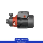 پمپ یک اسب محیطی لئو مدل APm75