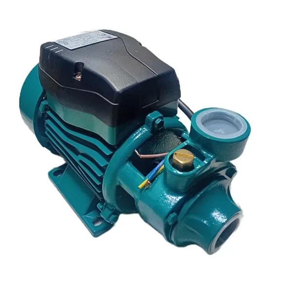 پمپ نیم اسب محیطی برتونی QB60